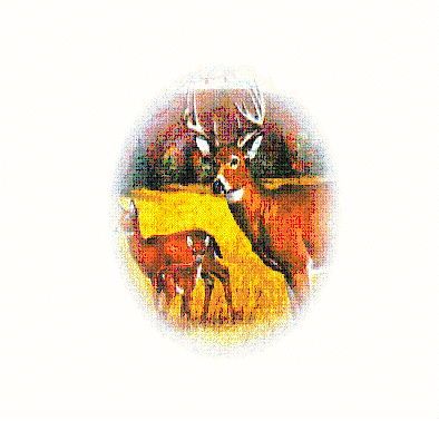PhotoBase Document