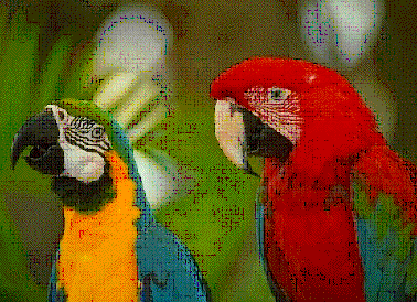 PhotoBase Document